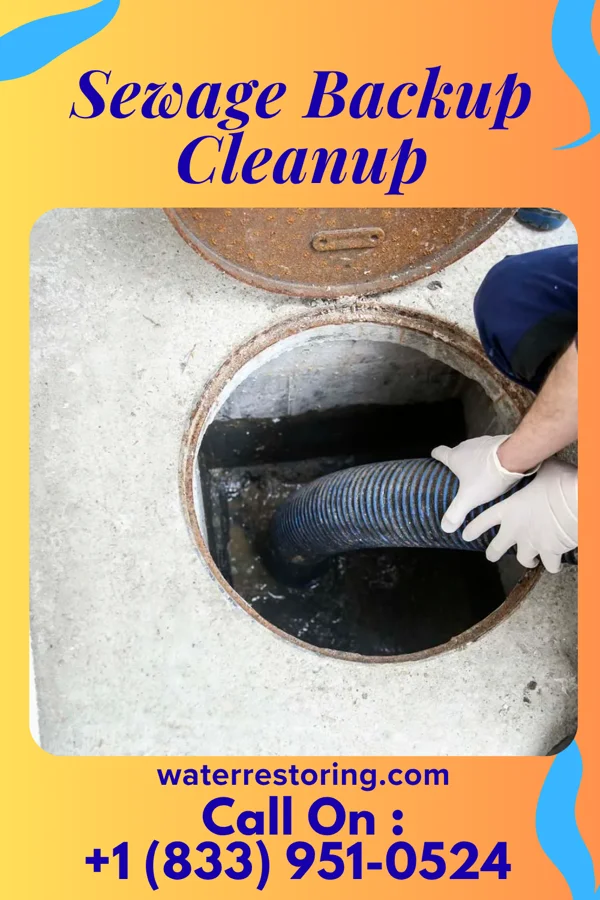 Sewage Backup Cleanup in Knob Noster, MO