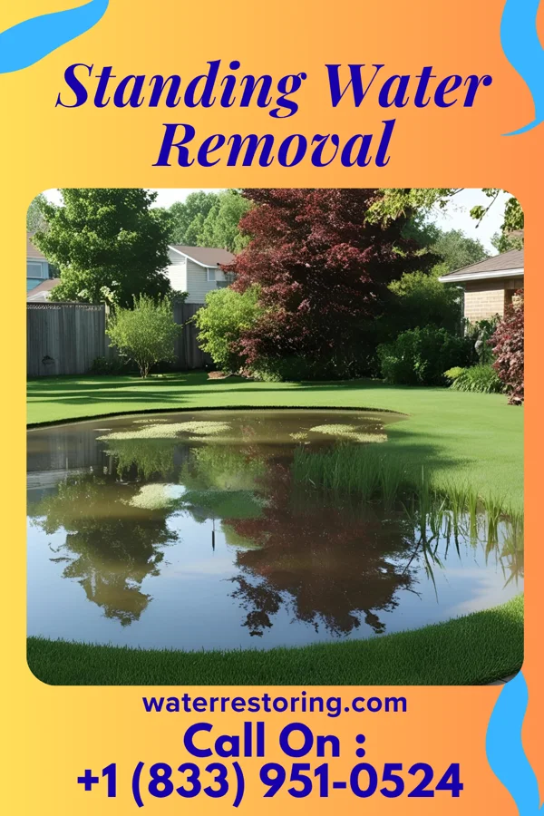 Standing Water Removal in Knob Noster, MO